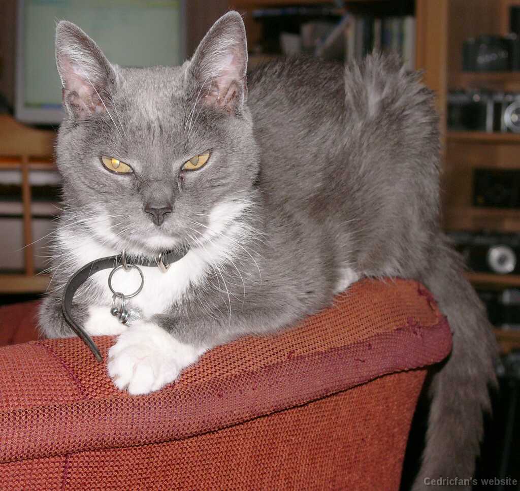 09_03_OnSofa_1