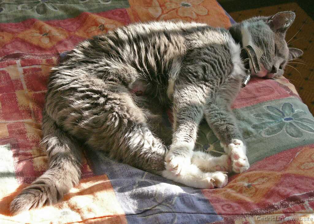 09_03_Sunbath _2