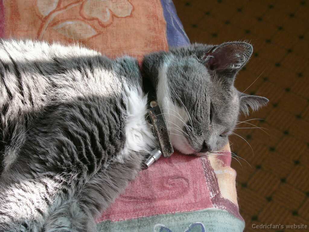 09_03_Sunbath _3