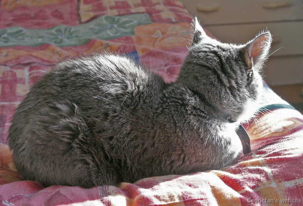 09_03_Sunbath_1