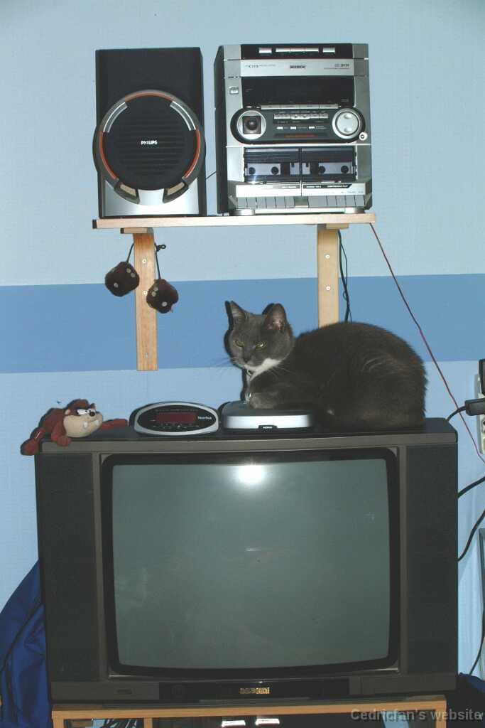 AudioVideoCatioSystem