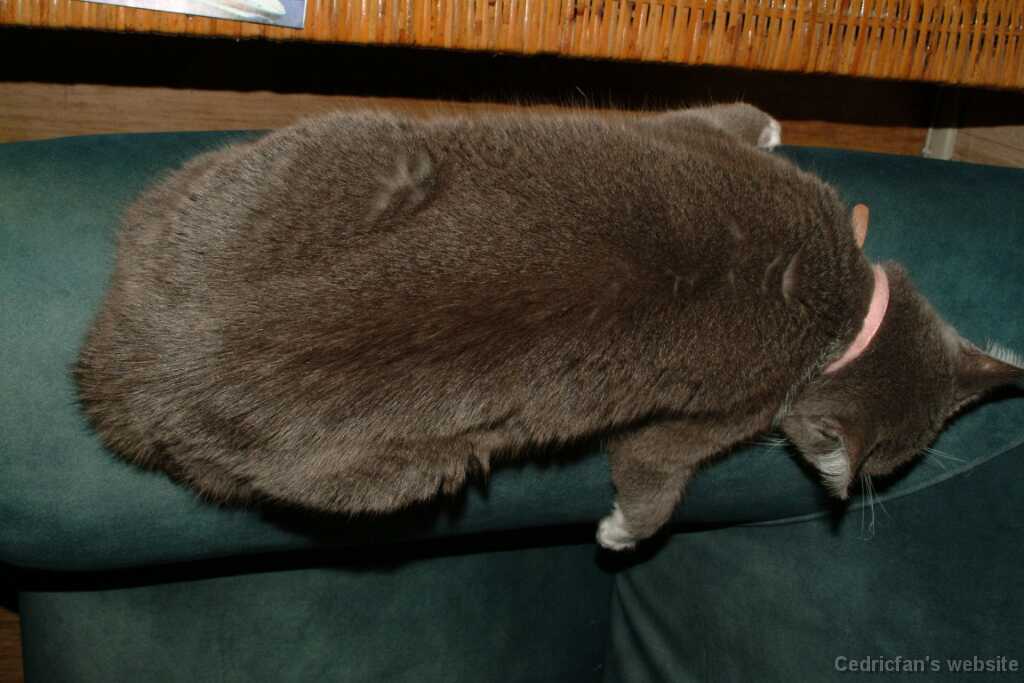 HuggingSofa