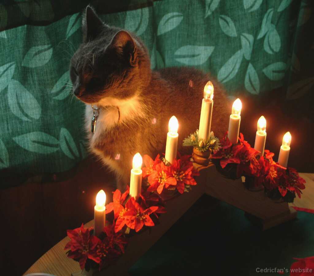 Xmascandles