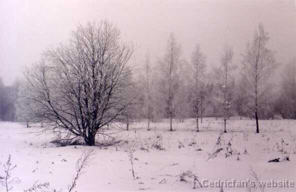 mistfrost