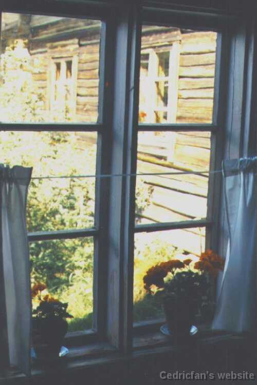 Window