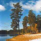 Winterbeach