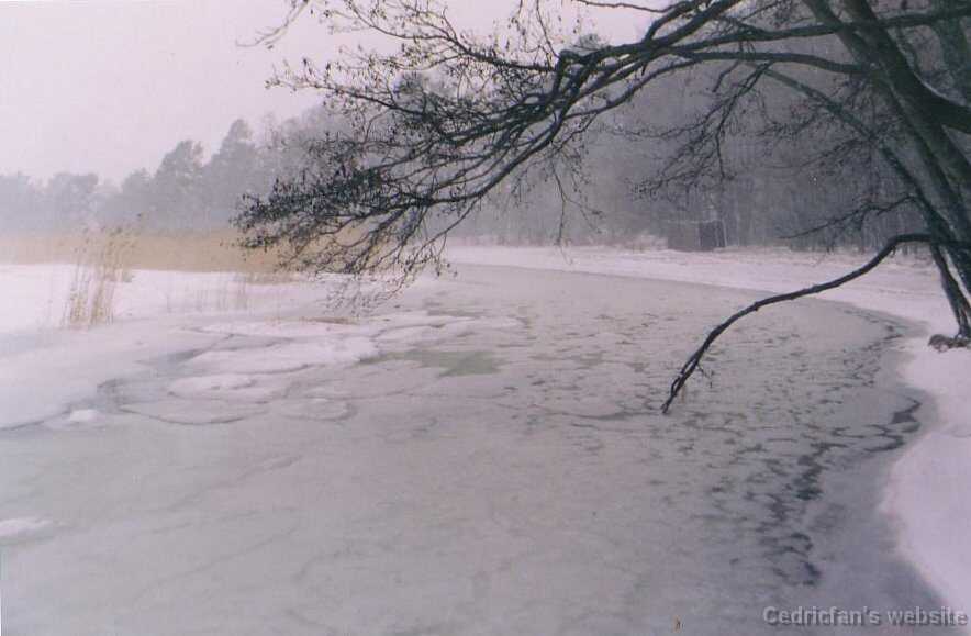 Snowstormbeach