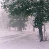 Snowstormroad