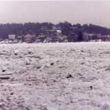 pikisaari