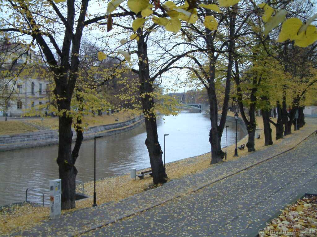 DSCF0036