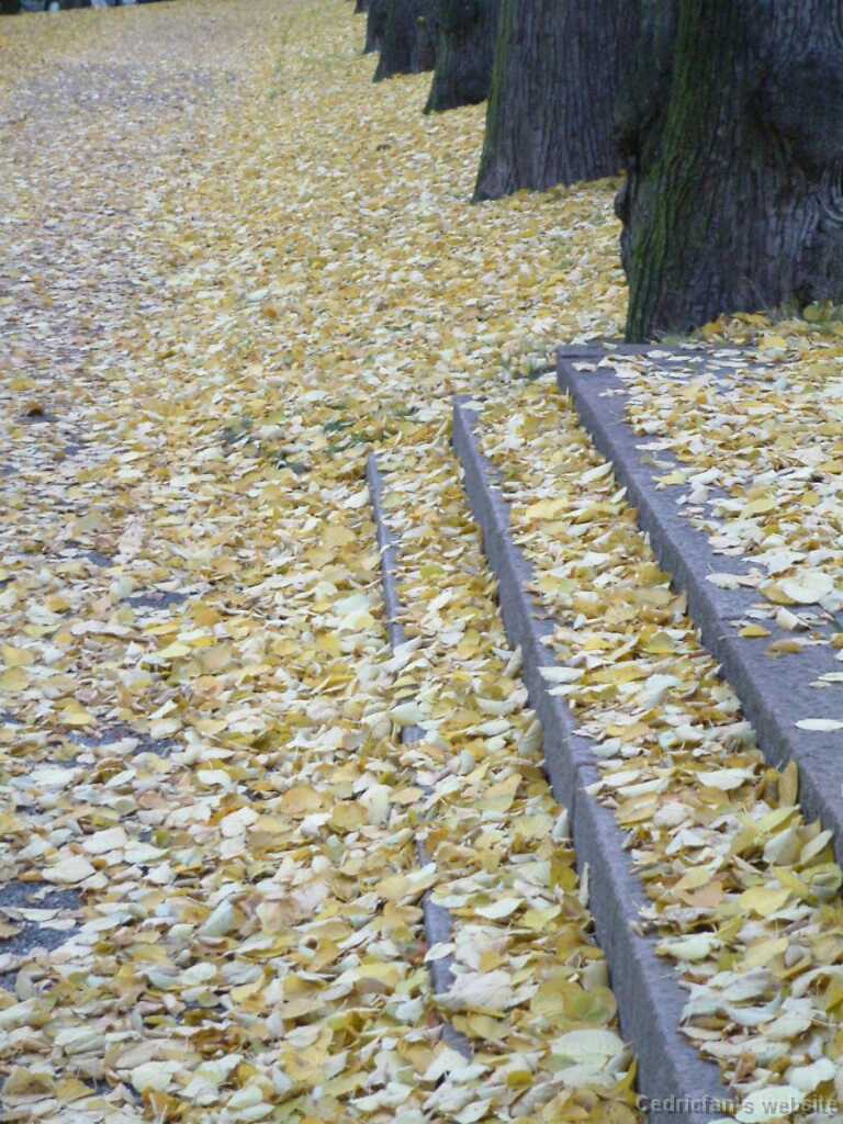 Dscf0038