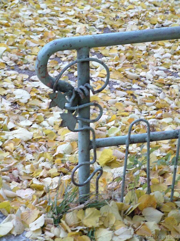 Dscf0039