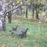 DSCF0018