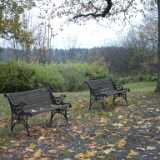DSCF0019