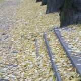 Dscf0038
