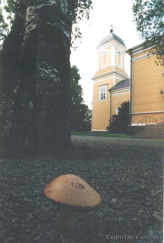 julyChurch