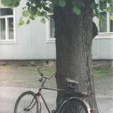 cycle