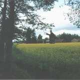 julyField2