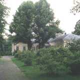 mansionyard