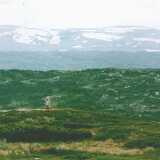 augNorwayMountainWiew