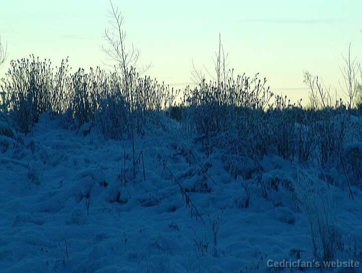 DawnGround