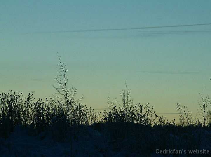 DawnHorizon