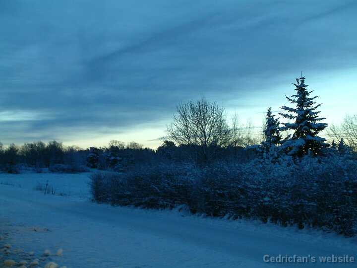 DawnWinter