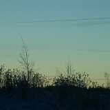 DawnHorizon
