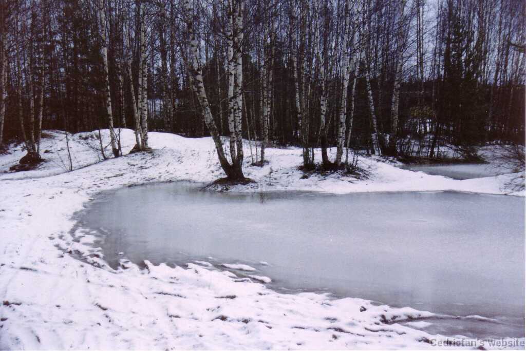 Near_home