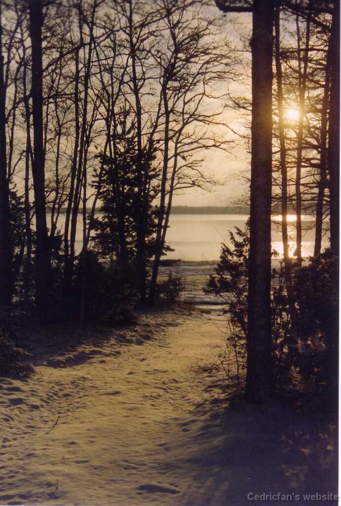 Nystad_beach0001