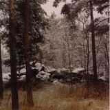 Near_home0002