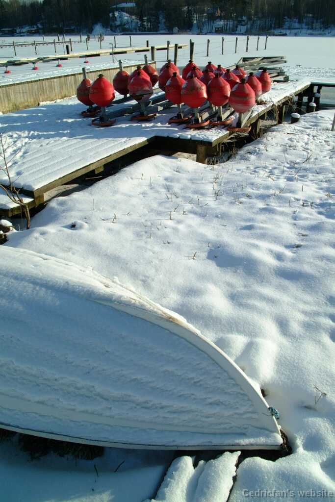 Dscf0236