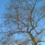 Dscf0235
