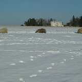 Dscf0237