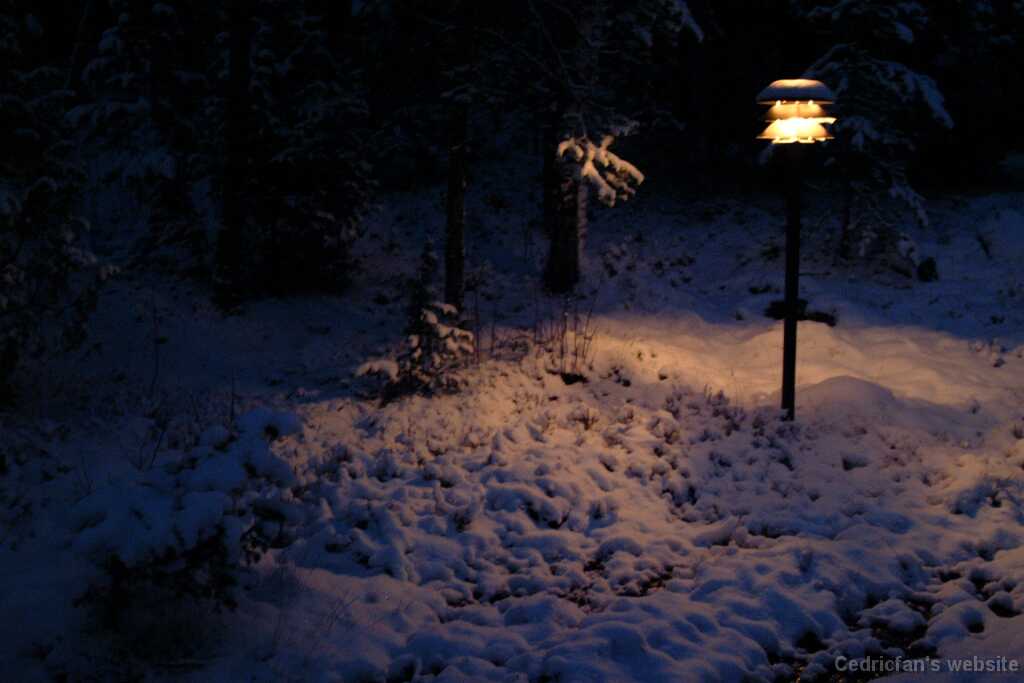 DSCF0162