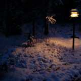 DSCF0162