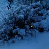 Dscf0072