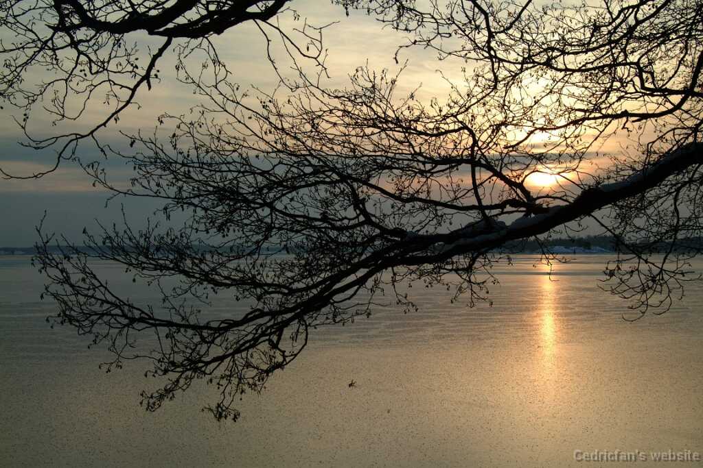 Dscf0030