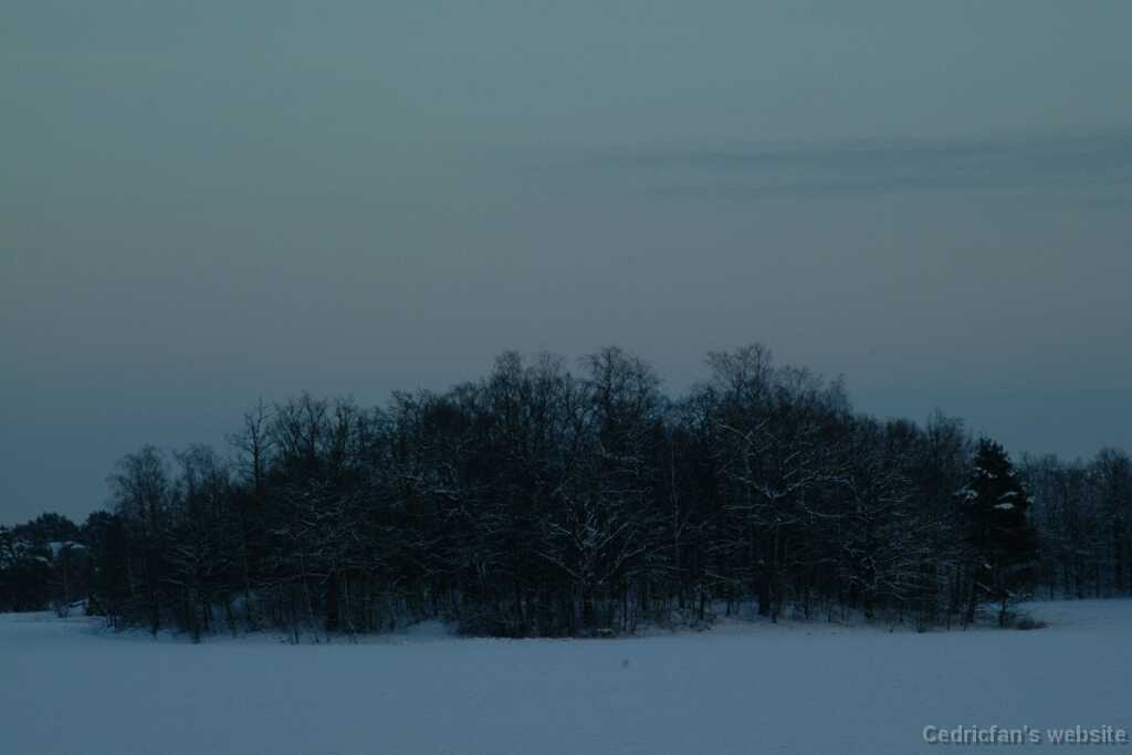 Dscf0039