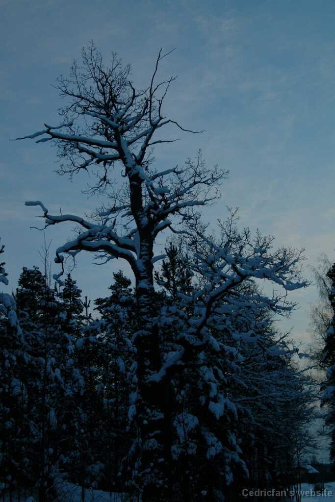 Dscf0062