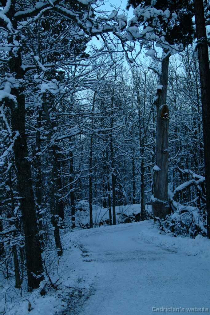 Dscf0064