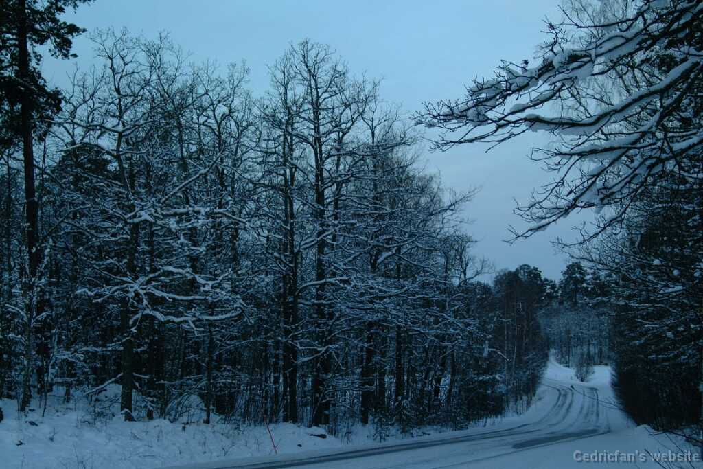 Dscf0066
