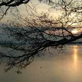 Dscf0030