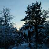 Dscf0060