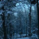 Dscf0064