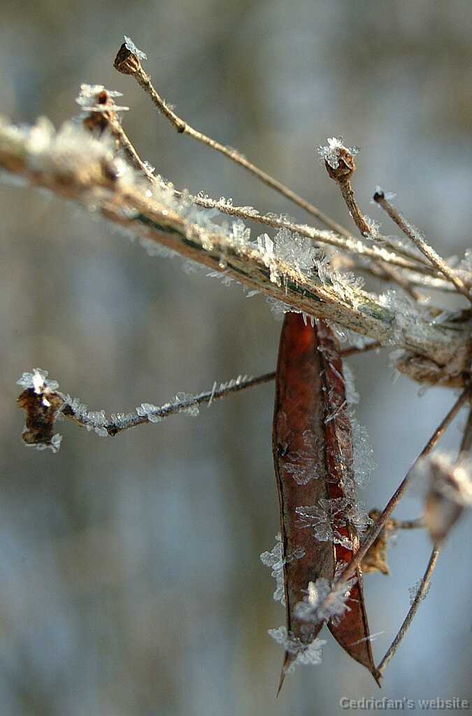 Dscf0215