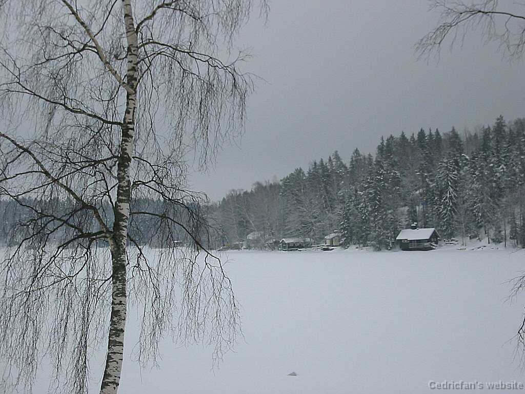 WinterLake