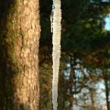Dscf0244
