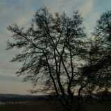 Ruissalo National Park