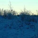 Photos Winter 04 digitally